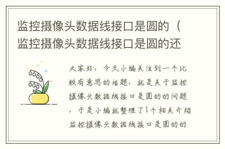 监控摄像头数据线接口是圆的（监控摄像头数据线接口是圆的还是方的）