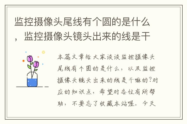 监控摄像头尾线有个圆的是什么，监控摄像头镜头出来的线是干嘛的?