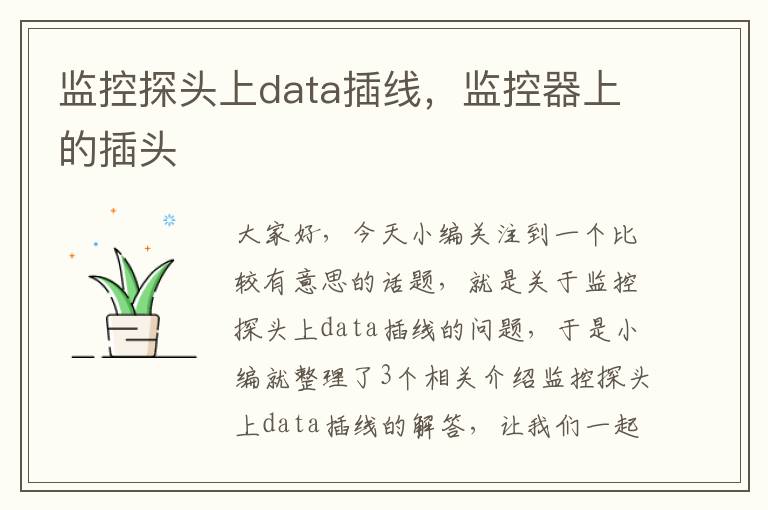 监控探头上data插线，监控器上的插头