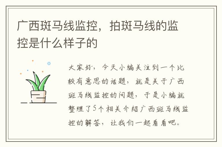 广西斑马线监控，拍斑马线的监控是什么样子的