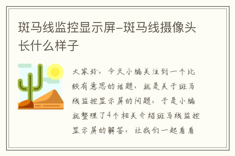 斑马线监控显示屏-斑马线摄像头长什么样子