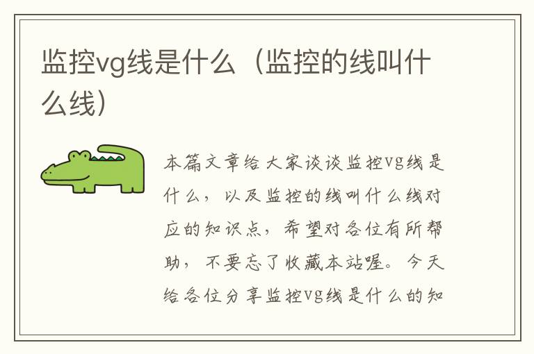 监控vg线是什么（监控的线叫什么线）