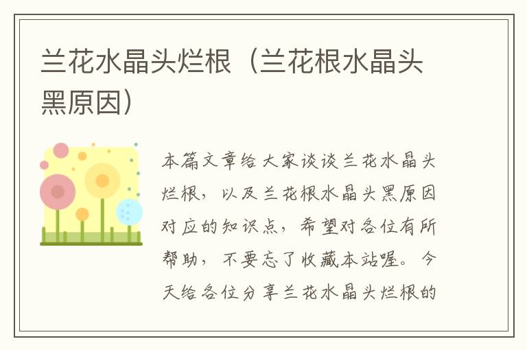 兰花水晶头烂根（兰花根水晶头黑原因）