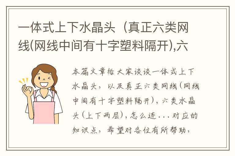 一体式上下水晶头（真正六类网线(网线中间有十字塑料隔开),六类水晶头(上下两层),怎么连 ...）