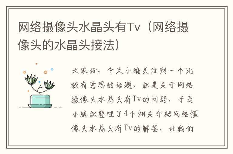 网络摄像头水晶头有Tv（网络摄像头的水晶头接法）