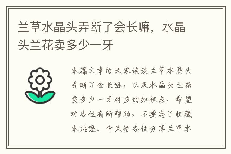 兰草水晶头弄断了会长嘛，水晶头兰花卖多少一牙