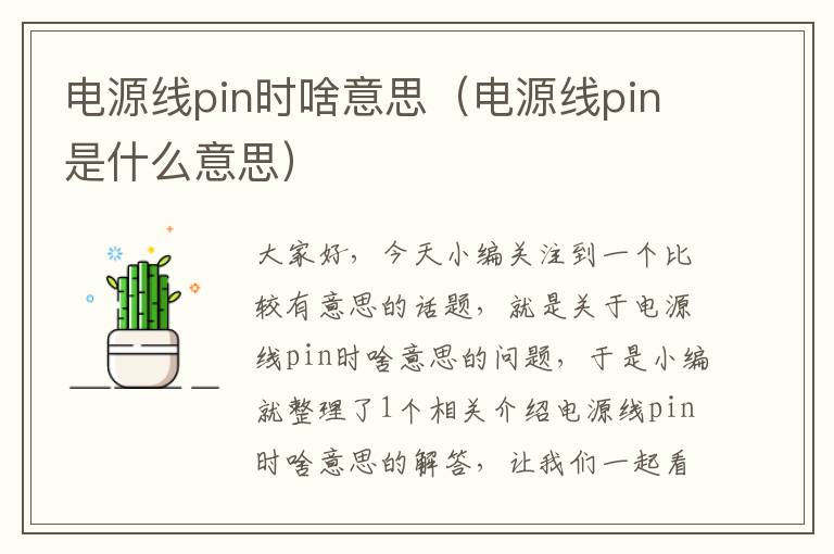 电源线pin时啥意思（电源线pin是什么意思）