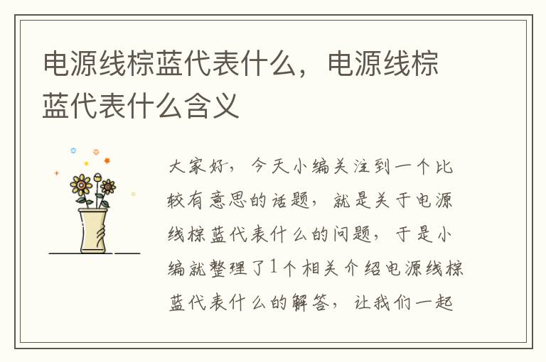 电源线棕蓝代表什么，电源线棕蓝代表什么含义