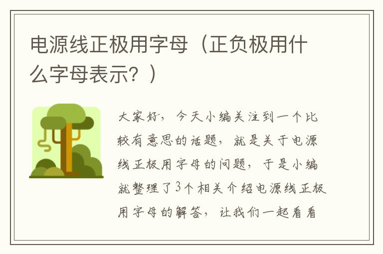 电源线正极用字母（正负极用什么字母表示？）