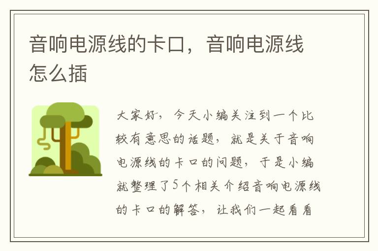 音响电源线的卡口，音响电源线怎么插