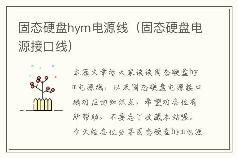 固态硬盘hym电源线（固态硬盘电源接口线）