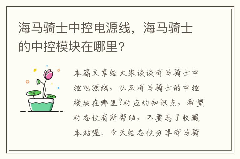 海马骑士中控电源线，海马骑士的中控模块在哪里?