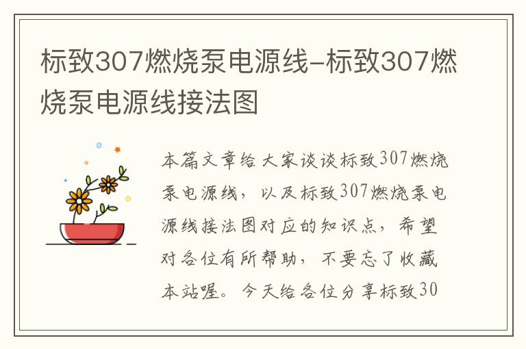 标致307燃烧泵电源线-标致307燃烧泵电源线接法图