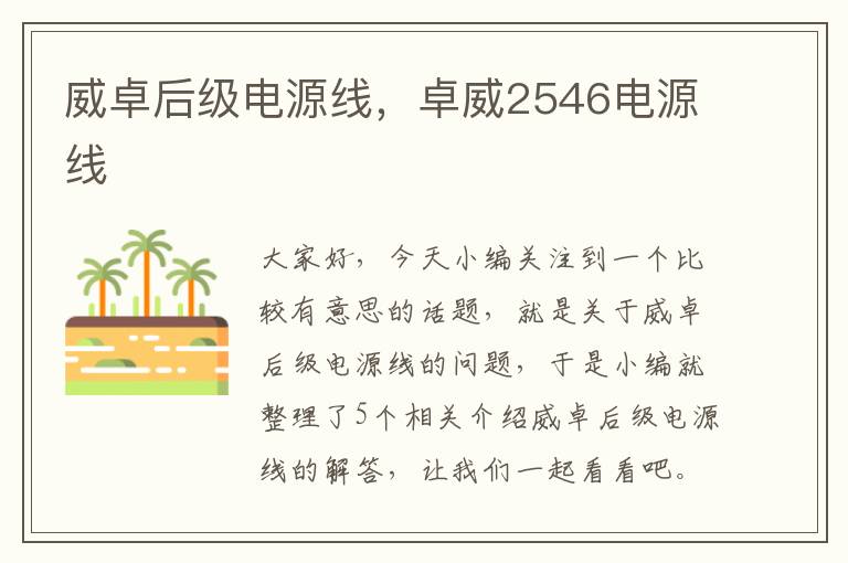 威卓后级电源线，卓威2546电源线