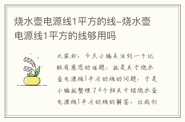 烧水壶电源线1平方的线-烧水壶电源线1平方的线够用吗