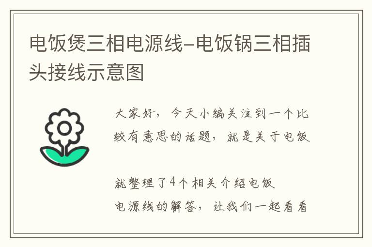 电饭煲三相电源线-电饭锅三相插头接线示意图