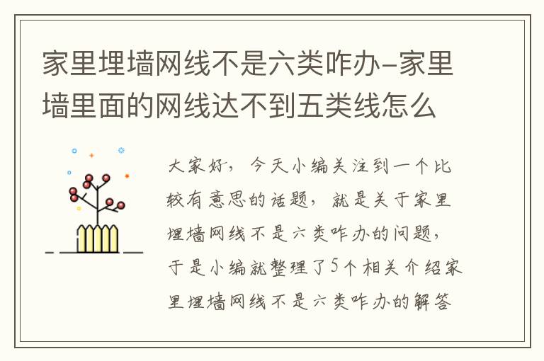 家里埋墙网线不是六类咋办-家里墙里面的网线达不到五类线怎么办