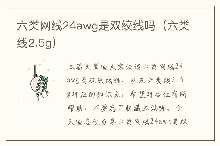 六类网线24awg是双绞线吗（六类线2.5g）