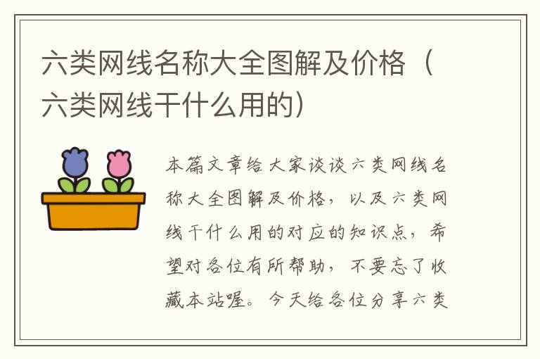 六类网线名称大全图解及价格（六类网线干什么用的）