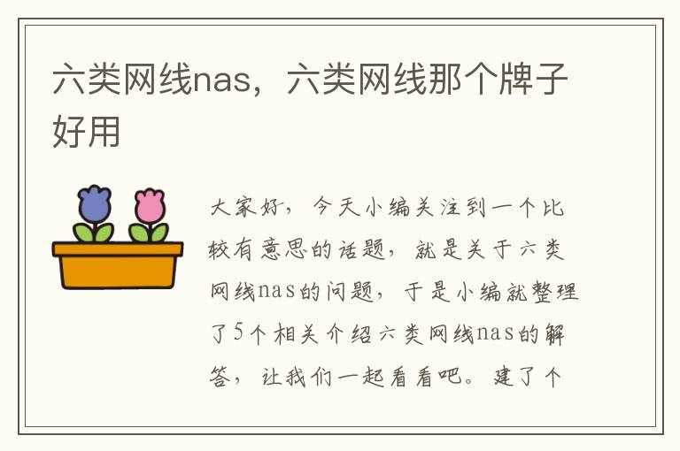 六类网线nas，六类网线那个牌子好用