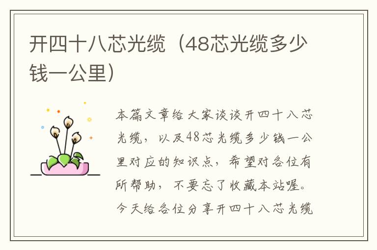 开四十八芯光缆（48芯光缆多少钱一公里）