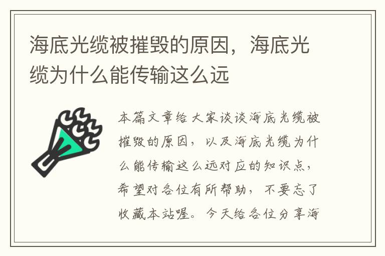 海底光缆被摧毁的原因，海底光缆为什么能传输这么远