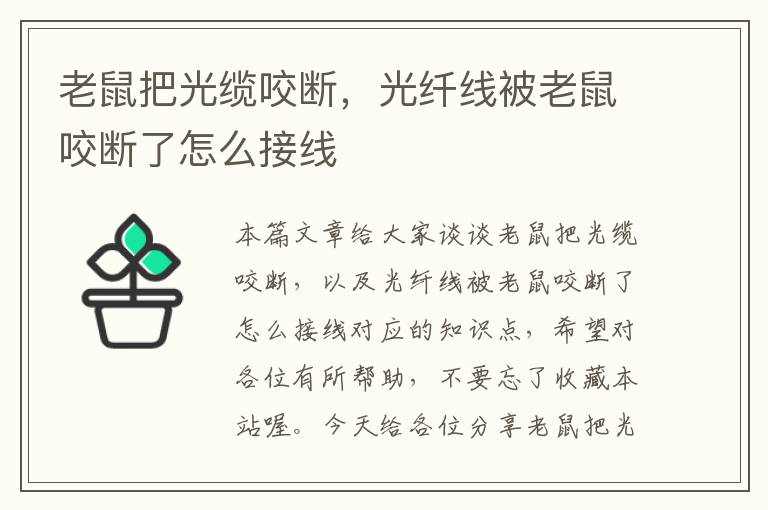 老鼠把光缆咬断，光纤线被老鼠咬断了怎么接线