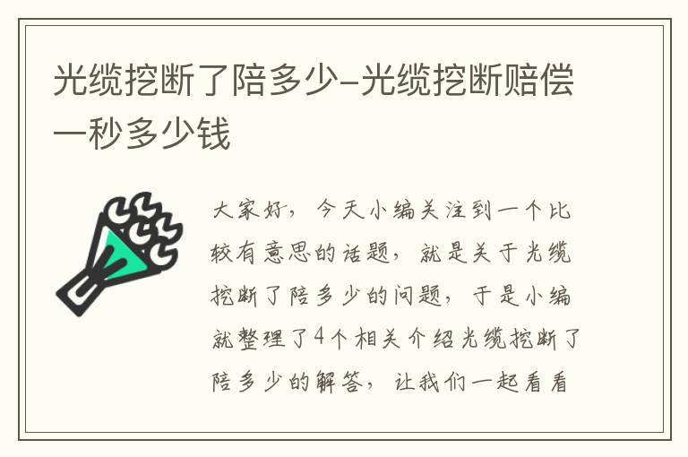 光缆挖断了陪多少-光缆挖断赔偿一秒多少钱