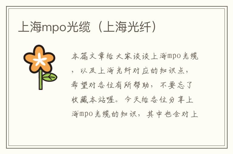 上海mpo光缆（上海光纤）