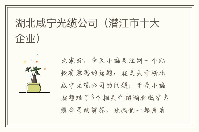 湖北咸宁光缆公司（潜江市十大企业）