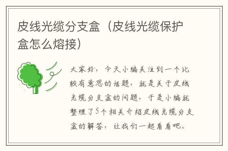 皮线光缆分支盒（皮线光缆保护盒怎么熔接）