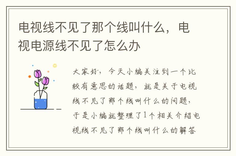 电视线不见了那个线叫什么，电视电源线不见了怎么办