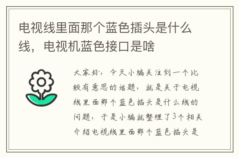 电视线里面那个蓝色插头是什么线，电视机蓝色接口是啥