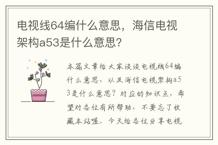 电视线64编什么意思，海信电视架构a53是什么意思？