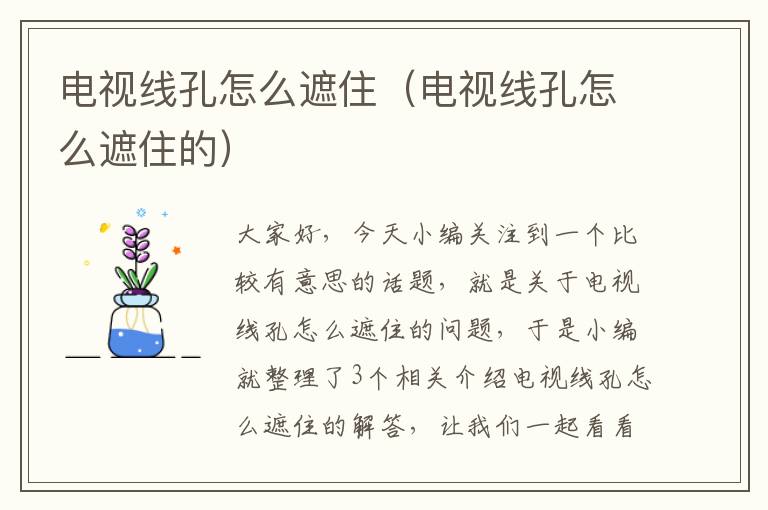 电视线孔怎么遮住（电视线孔怎么遮住的）