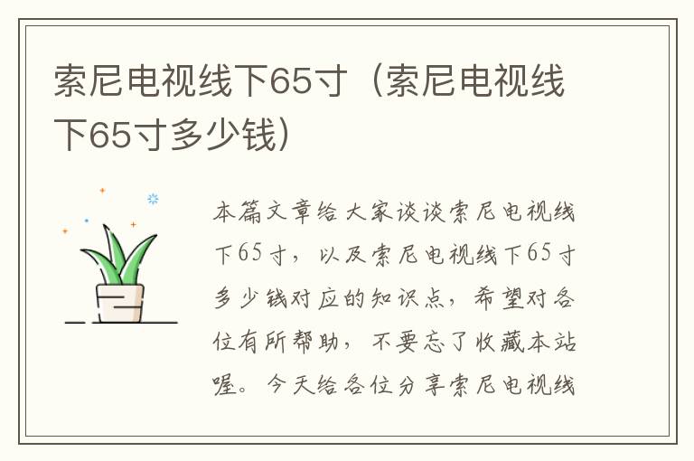 索尼电视线下65寸（索尼电视线下65寸多少钱）