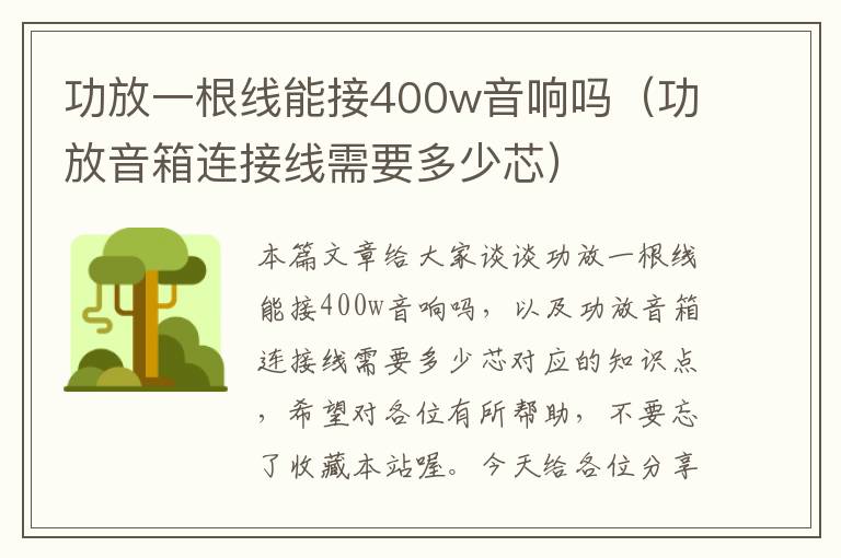 功放一根线能接400w音响吗（功放音箱连接线需要多少芯）