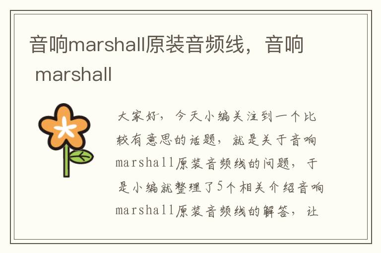 音响marshall原装音频线，音响 marshall