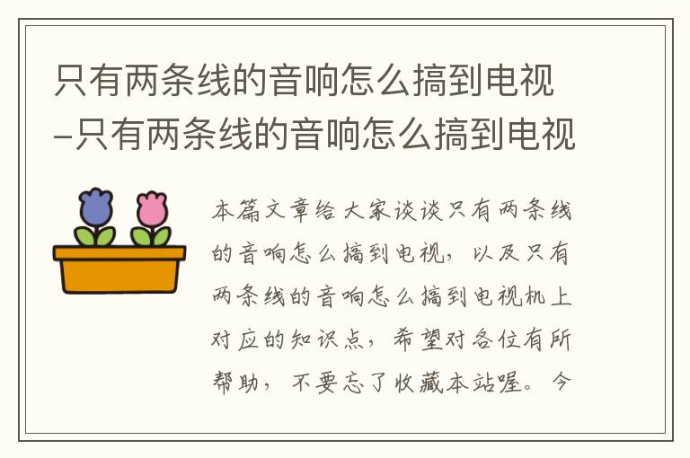 只有两条线的音响怎么搞到电视-只有两条线的音响怎么搞到电视机上