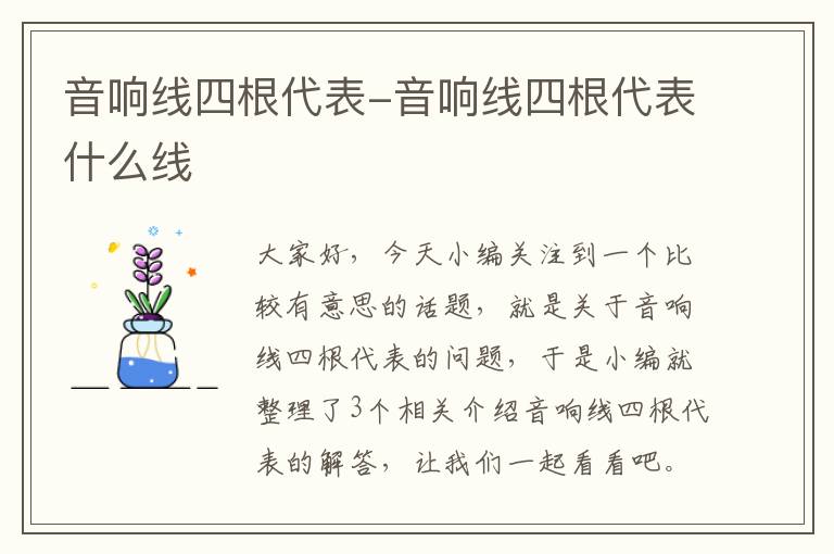 音响线四根代表-音响线四根代表什么线