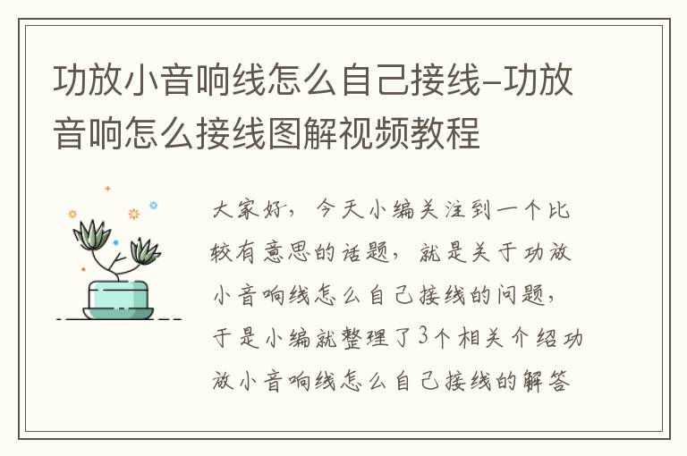 功放小音响线怎么自己接线-功放音响怎么接线图解视频教程