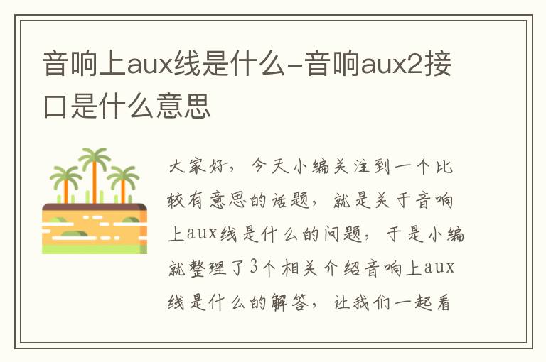 音响上aux线是什么-音响aux2接口是什么意思