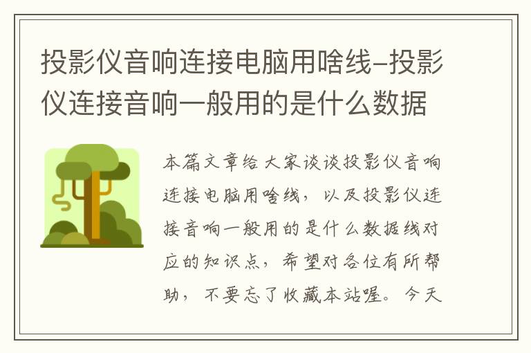 投影仪音响连接电脑用啥线-投影仪连接音响一般用的是什么数据线