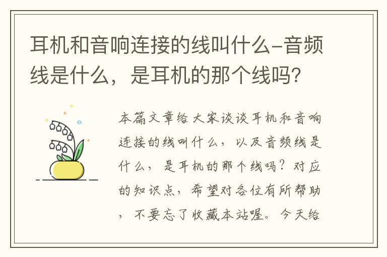 耳机和音响连接的线叫什么-音频线是什么，是耳机的那个线吗？