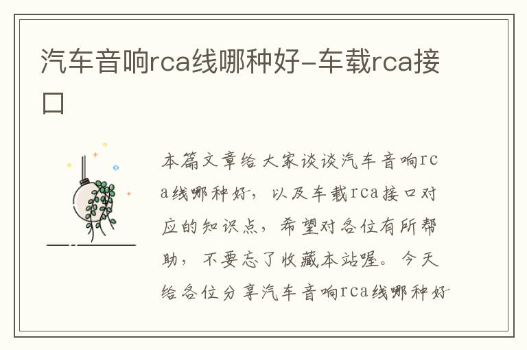 汽车音响rca线哪种好-车载rca接口