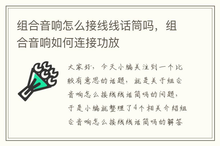 组合音响怎么接线线话筒吗，组合音响如何连接功放