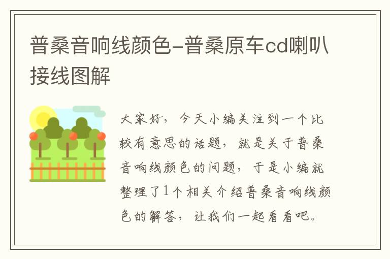 普桑音响线颜色-普桑原车cd喇叭接线图解