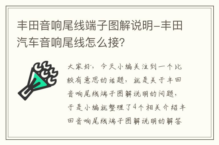 丰田音响尾线端子图解说明-丰田汽车音响尾线怎么接？