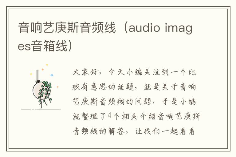 音响艺庚斯音频线（audio images音箱线）