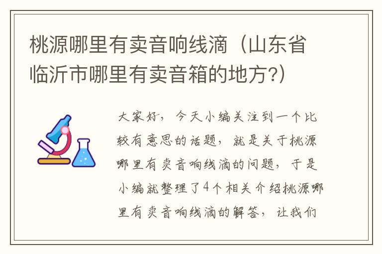 桃源哪里有卖音响线滴（山东省临沂市哪里有卖音箱的地方?）